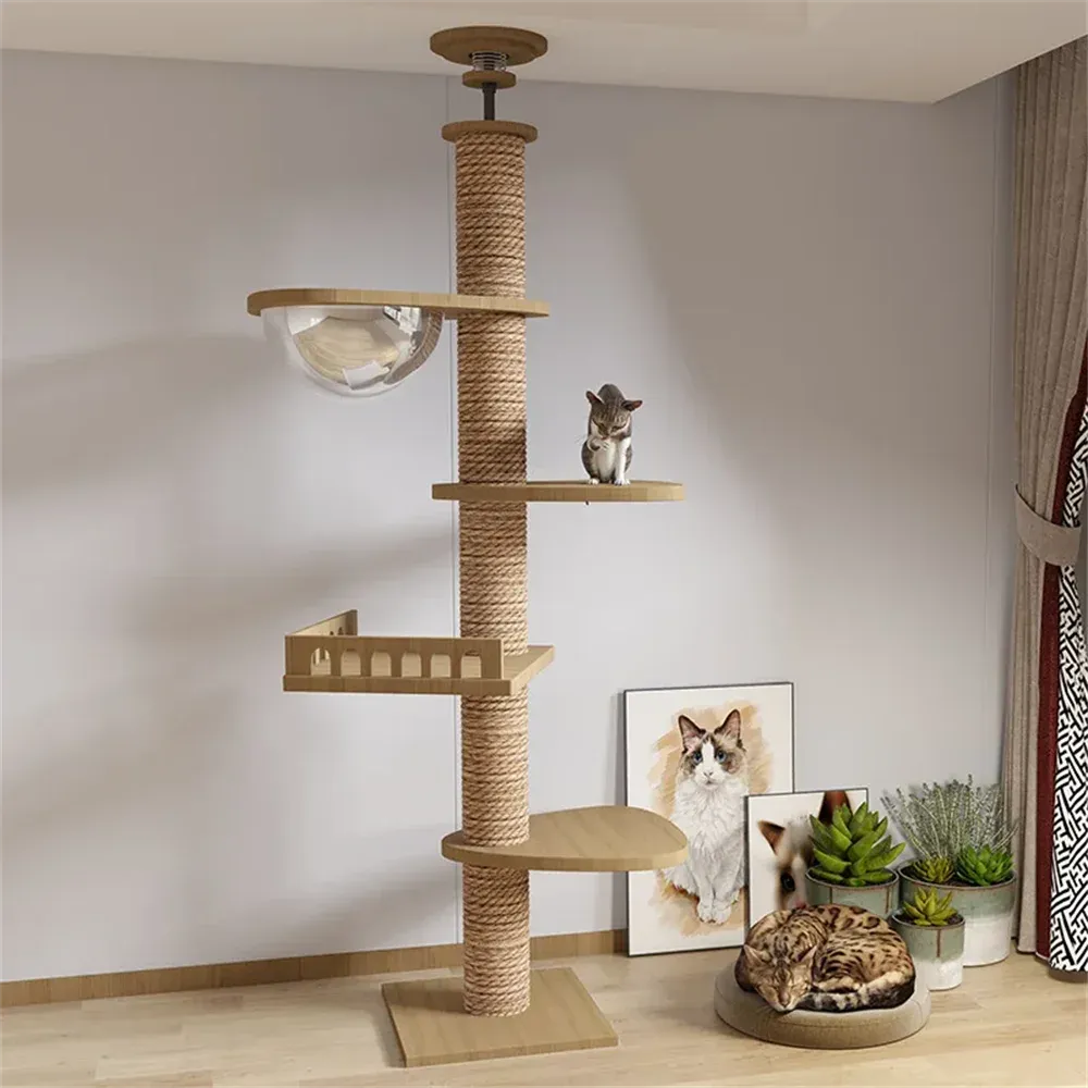 Adjustable Indoor Cat Tree House