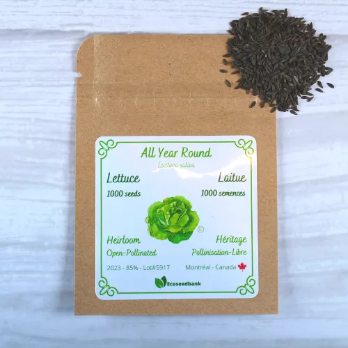 All Year Round Lettuce Seeds