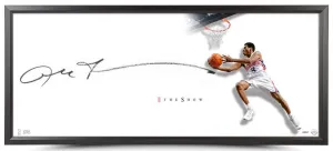ALLEN IVERSON Autographed "The Reverse" Framed Show 46 x 20 Display UDA