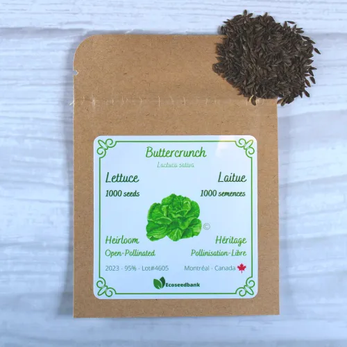 Buttercrunch Lettuce Seeds