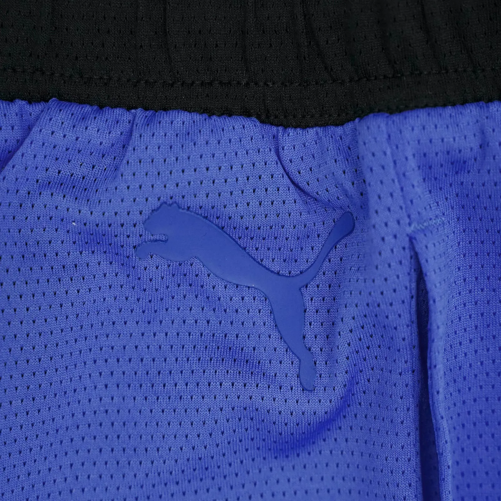 Flare Basketball Short - Blue