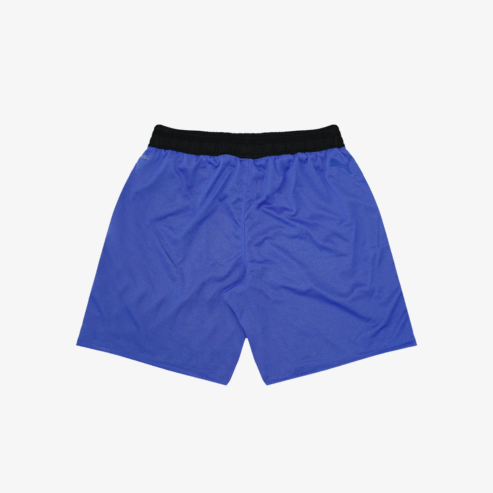 Flare Basketball Short - Blue