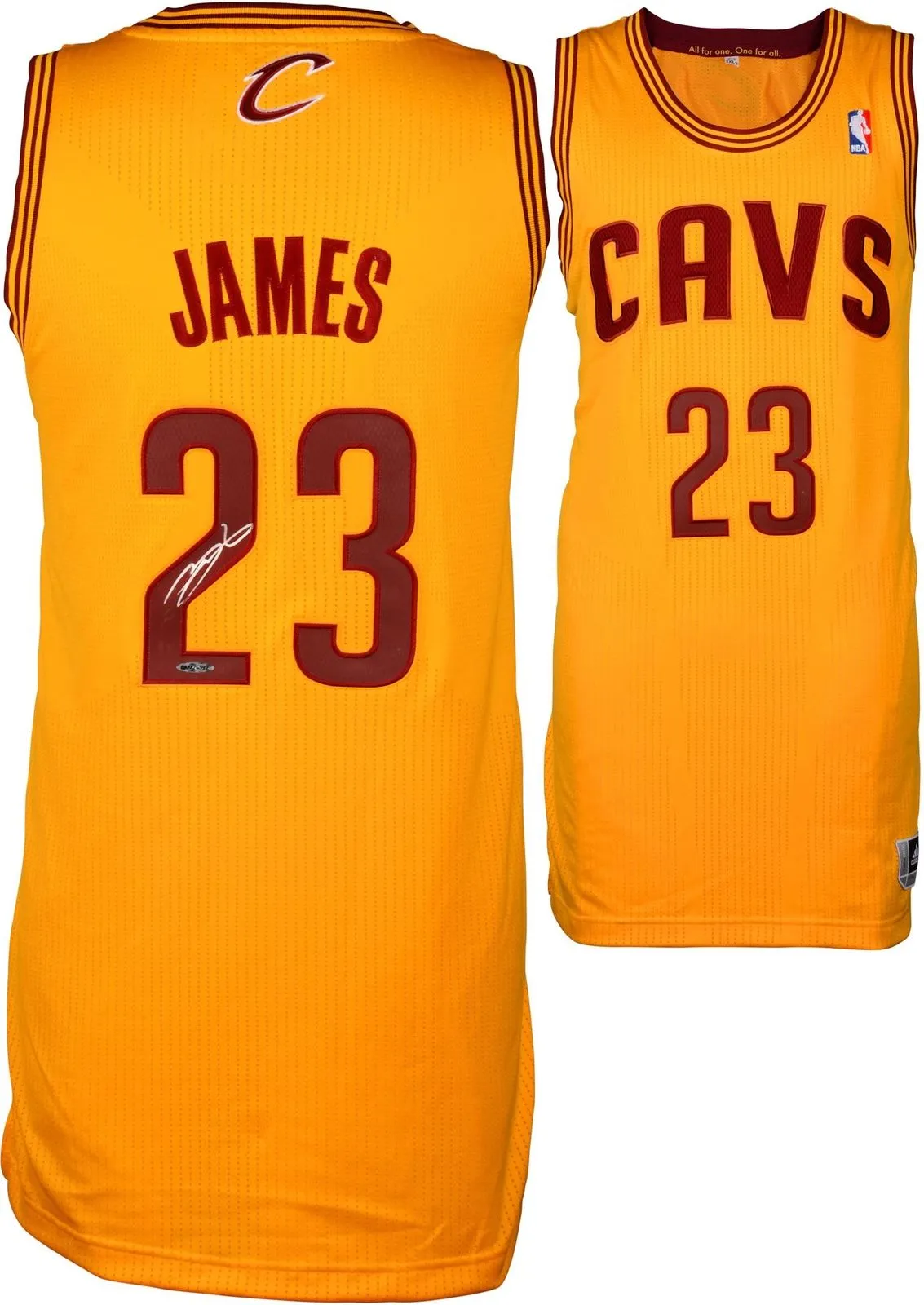 LeBron James Signed Autographed Cleveland Cavaliers Basketball Jersey (Fanatics COA)
