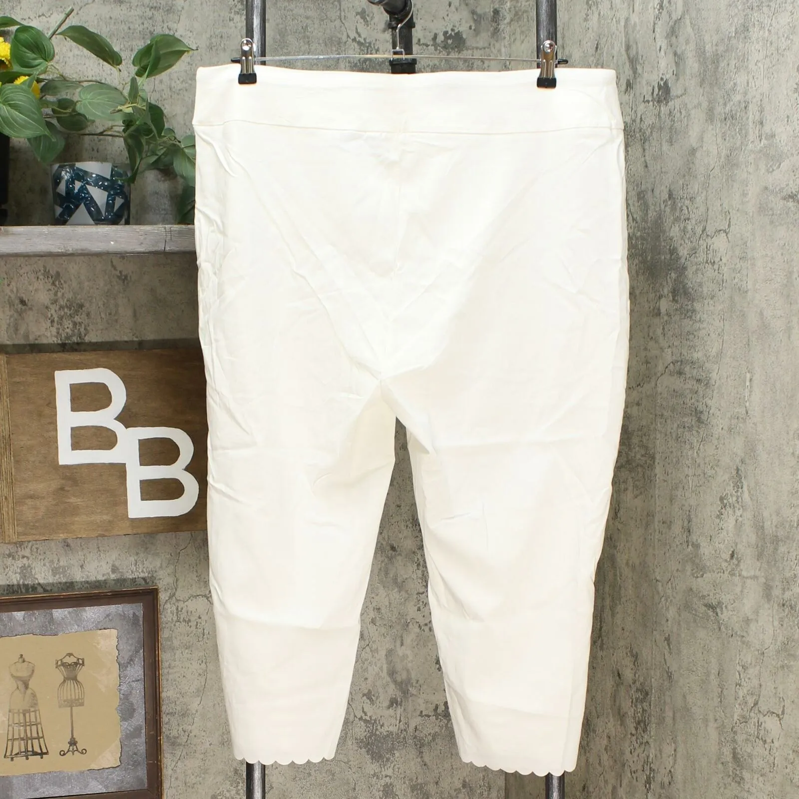 Nina Leonard Women's Plus Size Pull-On Scallop-Hem Cropped Pants Ivory 2X