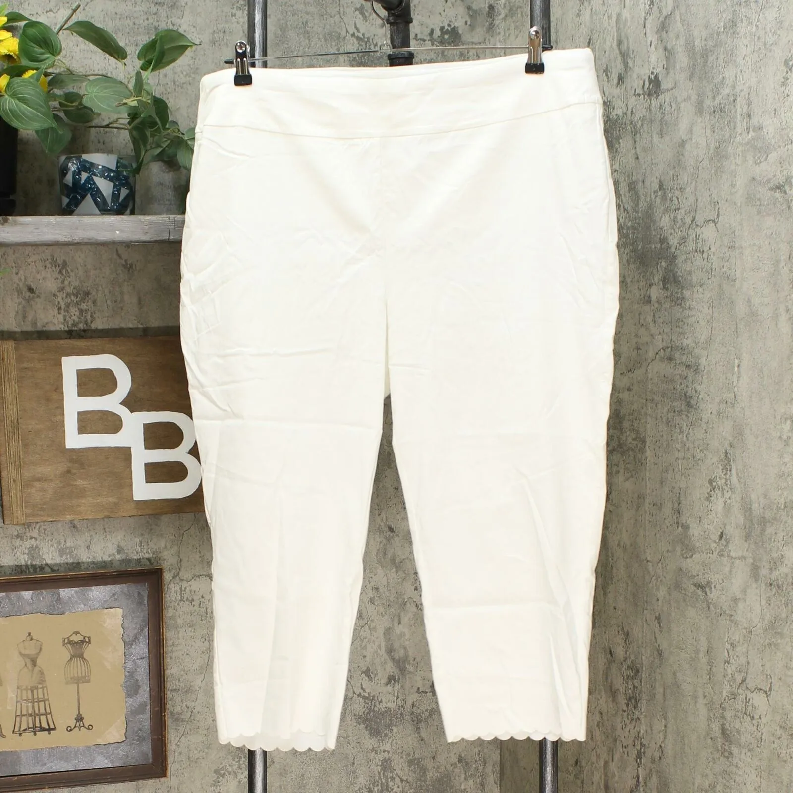 Nina Leonard Women's Plus Size Pull-On Scallop-Hem Cropped Pants Ivory 2X