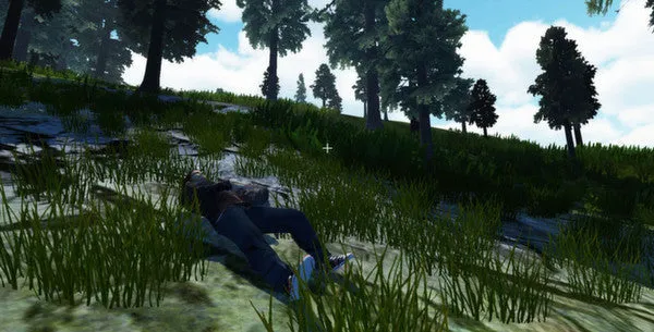Recovery: Search and Rescue Simulation (PC)
