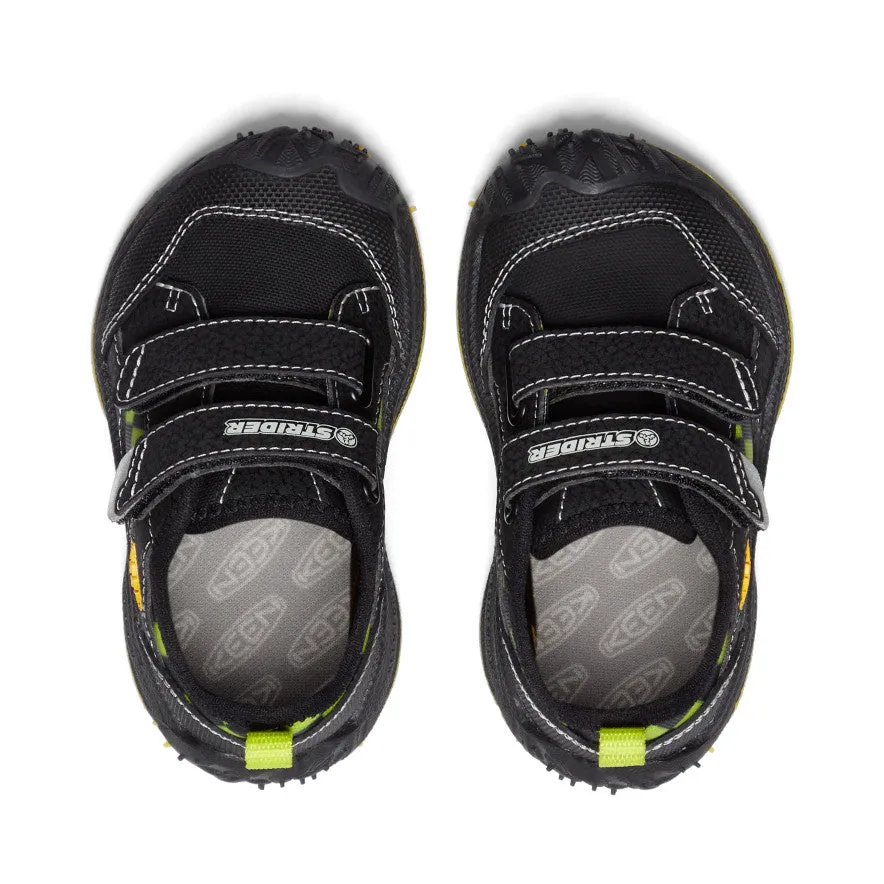 Toddlers' Speed Hound Sneaker x Strider
